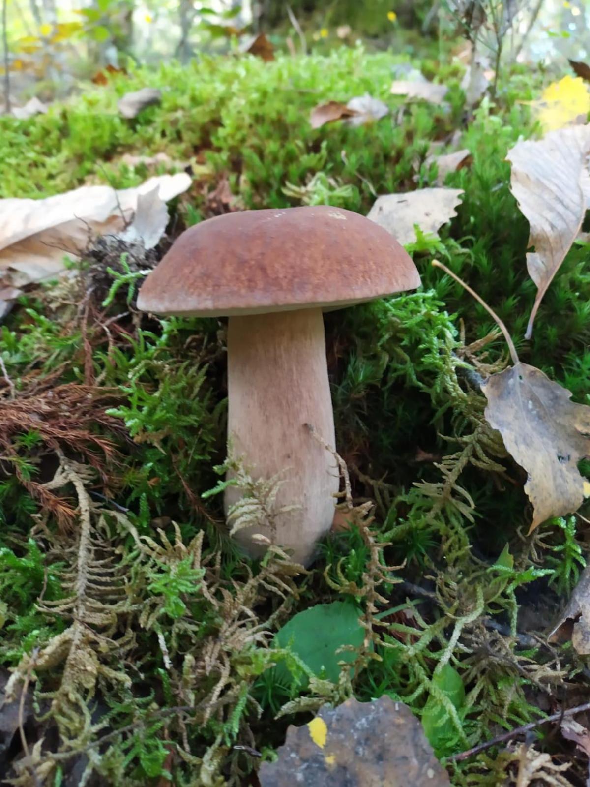 Willa Il Rifugio Di Vale Cetica Zewnętrze zdjęcie