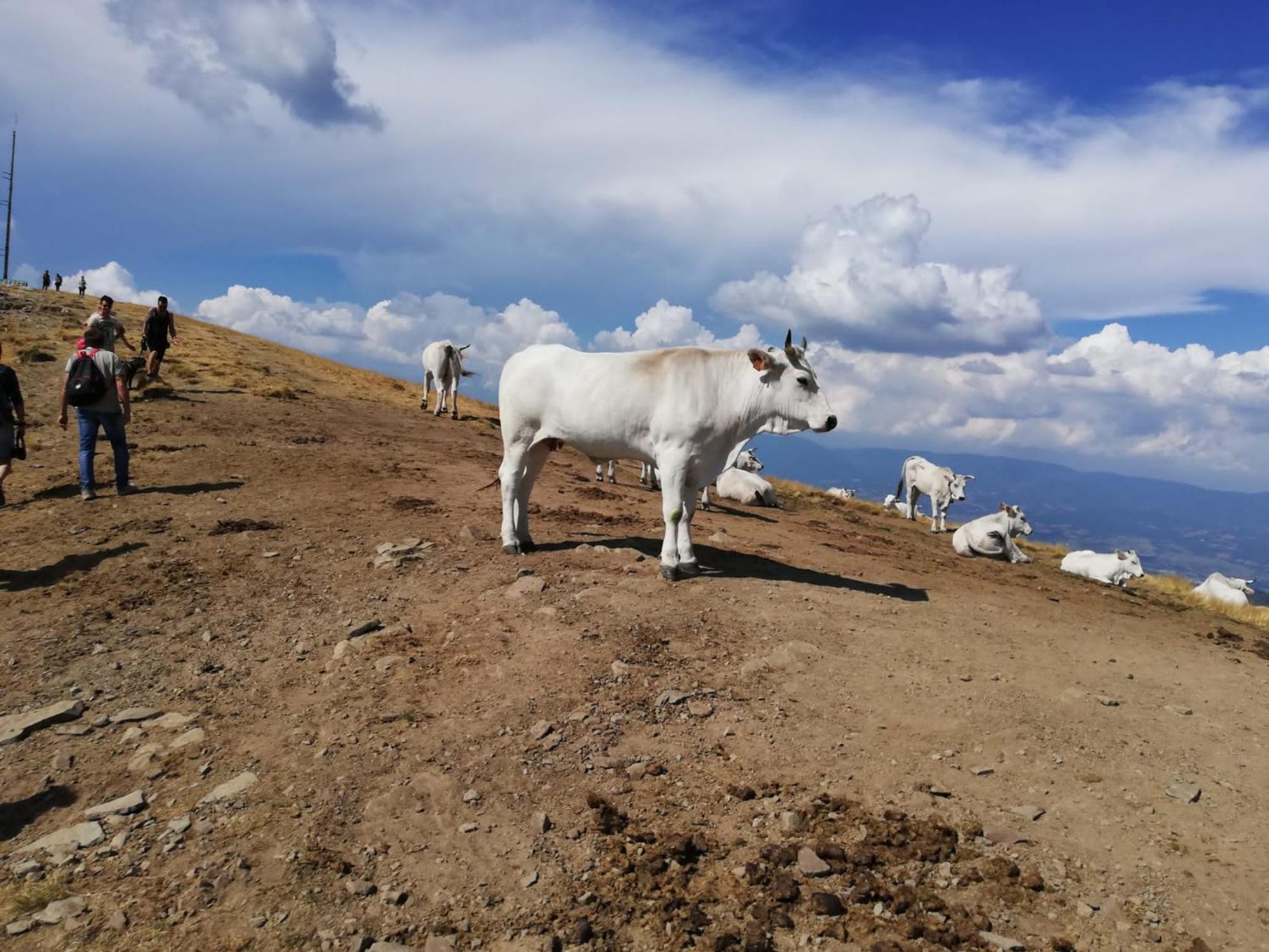Willa Il Rifugio Di Vale Cetica Zewnętrze zdjęcie